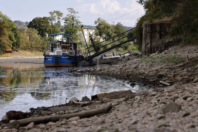 Der Rhein bei extremen Niedrigwasser: Bei Bad Honnef Rhöndorf, unterhalb des Drachenfels, liegt nicht nur das historische Rheinschiff Aalschokker Aranka im Altrheinarm an der Insel Grafenwerth auf Grund. Das Wasser in dem Seitenarm des Rhein ist so weit zurückgegangen, dass einige Boote, Kutter und Segelschiffe auf dem Trockenen liegen. (Themenbild, Symbolbild) Bonn, 16.08.2022 NRW Deutschland Copyright: xChristophxHardtx