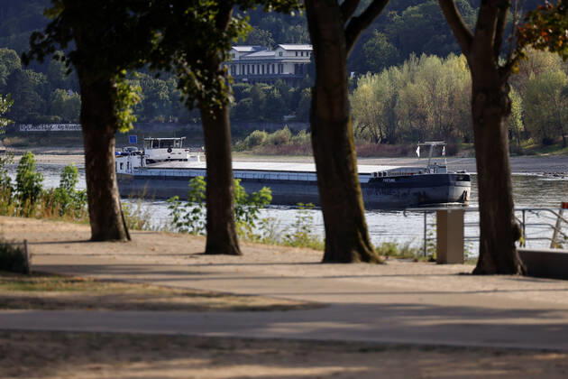 Der Rhein bei extremen Niedrigwasser: Bei Bad Honnef Rhöndorf, unterhalb des Drachenfels, fährt ein Frachter vorsichtig mit wenig Beladung durch das Flussbett. (Themenbild, Symbolbild) Bonn, 16.08.2022 NRW Deutschland Copyright: xChristophxHardtx