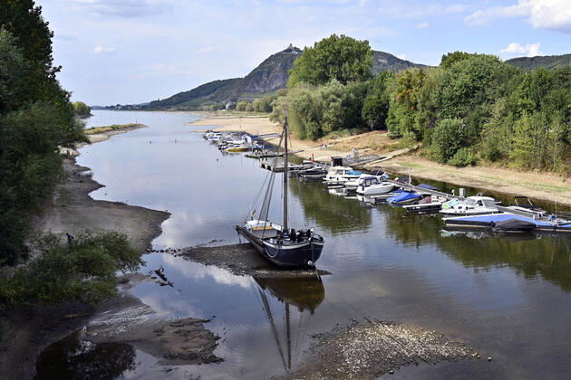 Der Rhein bei extremen Niedrigwasser: Bei Bad Honnef Rhöndorf, unterhalb des Drachenfels, liegt nicht nur das historische Rheinschiff Aalschokker Aranka im Altrheinarm an der Insel Grafenwerth auf Grund. Das Wasser in dem Seitenarm des Rhein ist so weit zurückgegangen, dass einige Boote, Kutter und Segelschiffe auf dem Trockenen liegen. (Themenbild, Symbolbild) Bonn, 16.08.2022 NRW Deutschland Copyright: xDwixAnoraganingrumx
