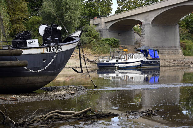 Der Rhein bei extremen Niedrigwasser: Bei Bad Honnef Rhöndorf, unterhalb des Drachenfels, liegt nicht nur das historische Rheinschiff Aalschokker Aranka im Altrheinarm an der Insel Grafenwerth auf Grund. Das Wasser in dem Seitenarm des Rhein ist so weit zurückgegangen, dass einige Boote, Kutter und Segelschiffe auf dem Trockenen liegen. (Themenbild, Symbolbild) Bonn, 16.08.2022 NRW Deutschland Copyright: xDwixAnoraganingrumx