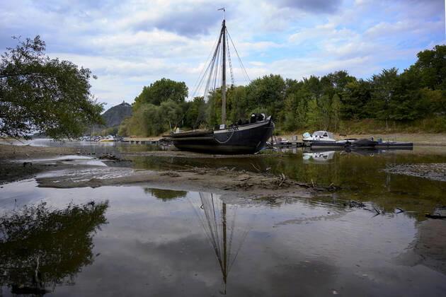 Der Rhein bei extremen Niedrigwasser: Bei Bad Honnef Rhöndorf, unterhalb des Drachenfels, liegt nicht nur das historische Rheinschiff Aalschokker Aranka im Altrheinarm an der Insel Grafenwerth auf Grund. Das Wasser in dem Seitenarm des Rhein ist so weit zurückgegangen, dass einige Boote, Kutter und Segelschiffe auf dem Trockenen liegen. (Themenbild, Symbolbild) Bonn, 16.08.2022 NRW Deutschland Copyright: xDwixAnoraganingrumx