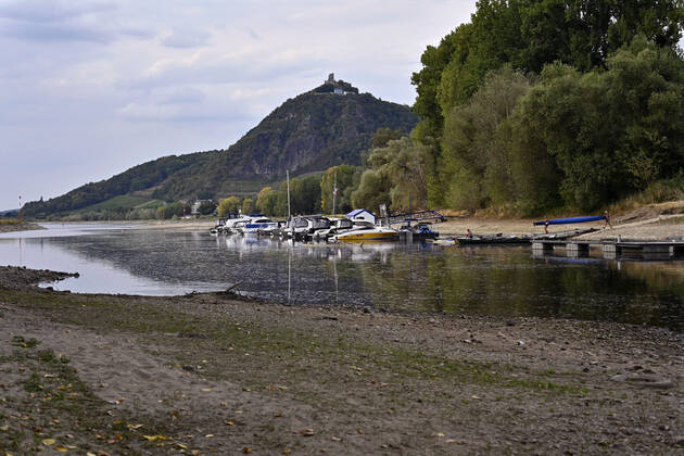 Der Rhein bei extremen Niedrigwasser: Bei Bad Honnef Rhöndorf, unterhalb des Drachenfels, liegt nicht nur das historische Rheinschiff Aalschokker Aranka im Altrheinarm an der Insel Grafenwerth auf Grund. Das Wasser in dem Seitenarm des Rhein ist so weit zurückgegangen, dass einige Boote, Kutter und Segelschiffe auf dem Trockenen liegen. (Themenbild, Symbolbild) Bonn, 16.08.2022 NRW Deutschland Copyright: xDwixAnoraganingrumx
