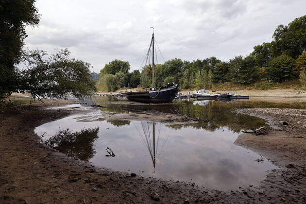 Der Rhein bei extremen Niedrigwasser: Bei Bad Honnef Rhöndorf, unterhalb des Drachenfels, liegt nicht nur das historische Rheinschiff Aalschokker Aranka im Altrheinarm an der Insel Grafenwerth auf Grund. Das Wasser in dem Seitenarm des Rhein ist so weit zurückgegangen, dass einige Boote, Kutter und Segelschiffe auf dem Trockenen liegen. (Themenbild, Symbolbild) Bonn, 16.08.2022D NRW Deutschland Copyright: xChristophxHardtx