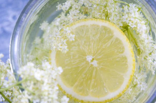 Elderflower syrup in mason jar, ASF06840