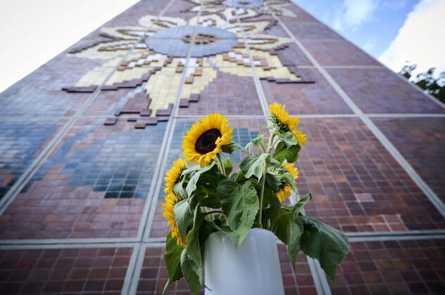 Bilder des Jahres 2022, News 08 August News Themen der Woche KW34 News Bilder des Tages Rostock, Gedenken zum 30. Jahrestag Rostock‘Lichtenhagen Bundespräsident Frank-Walter Steinmeier und Ministerpräsidentin Manuela Schwesig legen am 25.08.2022 in Gedenken an die Opfer der rassistischen Ausschreitungen vor 30 Jahren am sogenannten Sonnenblumenhaus Sonnenblumen nieder. Ebenfalls legen auch Reem Alabali-Radovan, Carsten Schneider, Regine Lück und Steffen Bockhahn Sonnenblumen nieder. Rostock-Lichtenhagen Mecklenburg-Vorpommern Deutschland