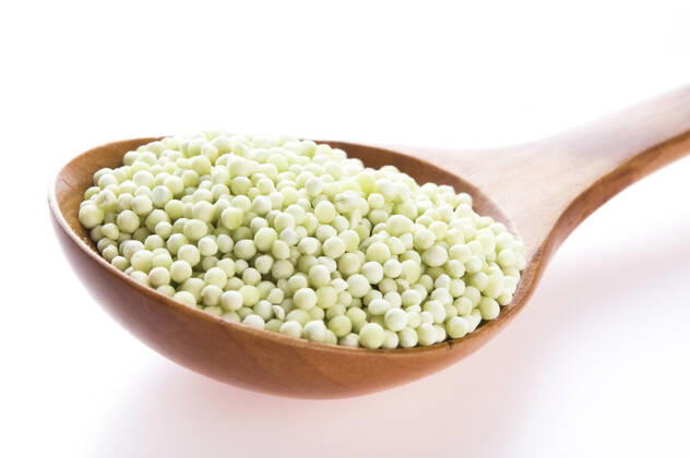 IMAGO Creative, Food, Tapioka tapioca pearls with lime. white bubble tea ingredients , 3682113.jpg, asia, asian, background, boba, bubble, cooking, dessert, food, ingredient, kolak, pearl, plant, pudding, root, sago, snack, starch, sweet, taho, tapioca, tea, white, manioc, fruit, acid, lemon, green, lime,