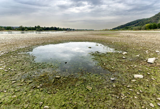 DEU , DEUTSCHLAND : Der ausgetrocknete Rhein bei Rhoendorf ( Rhöndorf ) , 17.08.2022 DEU , GERMANY : The dry river bed of Rhine river near Rhoendorf , 17.08.2022