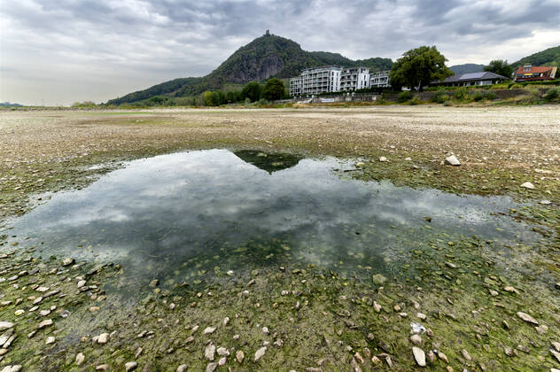 DEU , DEUTSCHLAND : Der ausgetrocknete Rhein bei Rhoendorf ( Rhöndorf ) Siebengebirge , im Hintergrund ist der Drachenfels , 17.08.2022 DEU , GERMANY : The dry river bed of Rhine river near Rhoendorf , in the background Drachenfels mountain ( Dragon Rock ) can be seen , 17.08.2022