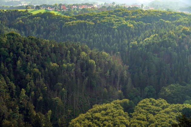 08.09.2022, Deutschland, Sachsen, Sächsische Schweiz, Hohnstein: Blick von der Brandbaude bei Hohnstein auf die Wälder im Nationalpark Sächsische Schweiz. Dürre und der Borkenkäfer sorgen dafür, dass immer mehr Bäume in dem Naturschutzgebiet absterben.