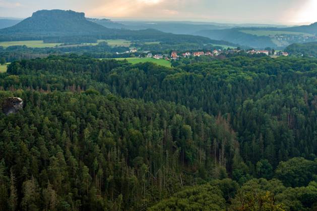 08.09.2022, Deutschland, Sachsen, Sächsische Schweiz, Hohnstein: Blick von der Brandbaude bei Hohnstein auf die Wälder im Nationalpark Sächsische Schweiz, im Hintergrund der Lilienstein. Dürre und der Borkenkäfer sorgen dafür, dass immer mehr Bäume in dem Naturschutzgebiet absterben.