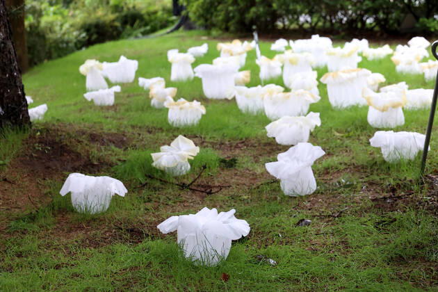 October 14, 2022, Tokyo, Japan - An installation as it is. -equilibrium flower- of some 2,000 flower like objects with small LED lights is displayed at a park of the Tokyo Midtown as a part of the Tokyo Midtown Design Touch 2022 in Tokyo on Friday, October 14, 2022. An annual design event with the theme of Design for Sustainable Future started at the Tokyo Midtown through November 3.  , aflo_201255374.jpg,