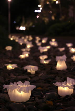 October 14, 2022, Tokyo, Japan - An installation as it is. -equilibrium flower- of some 2,000 flower like objects with small LED lights is displayed at a park of the Tokyo Midtown as a part of the Tokyo Midtown Design Touch 2022 in Tokyo on Friday, October 14, 2022. An annual design event with the theme of Design for Sustainable Future started at the Tokyo Midtown through November 3.  , aflo_201255385.jpg,