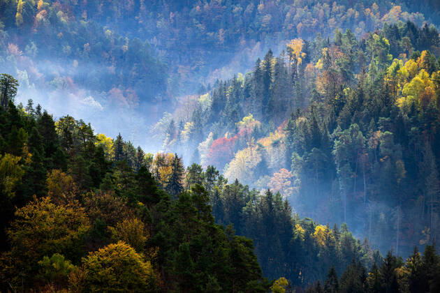 25.10.2022, Deutschland, Sachsen, Sächsische Schweiz, Hohnstein: Blick auf Nebelschwaden über den herbstlichen Wäldern im Naturschutzgebiet Sächsische Schweiz - von der Brandbaude bei Hohnstein aus.