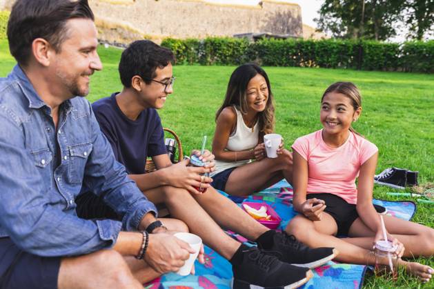 Multiracial family enjoying drinks in lawn on picnic model released, Symbolfoto, DMMF00165