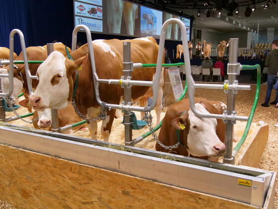 Eindruecke und Rundgang ueber die Euro Tier 2022 in der Messe Hannover vom 15.11.-18.11. 2022 Euro Tier 2022