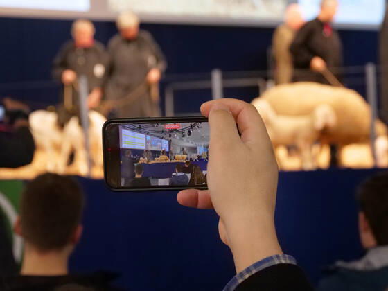 Eindruecke und Rundgang ueber die Euro Tier 2022 in der Messe Hannover vom 15.11.-18.11. 2022 Euro Tier 2022