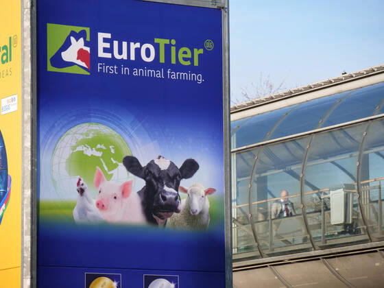 Eindruecke und Rundgang ueber die EuroTier 2022 in der Messe Hannover vom 15.11.-18.11. 2022 EuroTier 2022