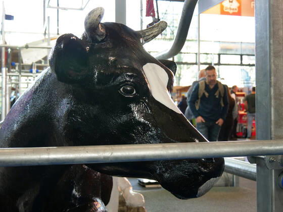 Eindruecke und Rundgang ueber die EuroTier 2022 in der Messe Hannover vom 15.11.-18.11. 2022 EuroTier 2022