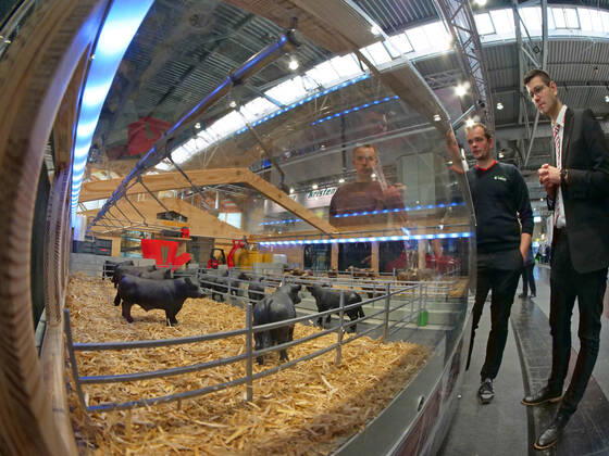 Eindruecke und Rundgang ueber die EuroTier 2022 in der Messe Hannover vom 15.11.-18.11. 2022 EuroTier 2022
