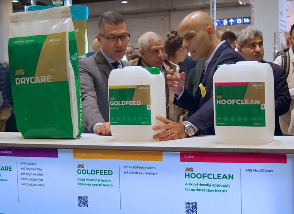 Eindruecke und Rundgang ueber die EuroTier 2022 in der Messe Hannover vom 15.11.-18.11. 2022 EuroTier 2022