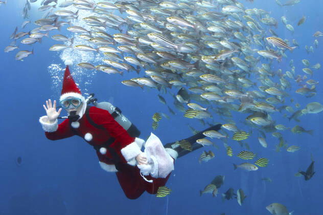 Bilder des Jahres 2022, Entertainment 12 Dezember Entertainment Themen der Woche KW50 Entertainment Bilder des Tages Ein Taucher im Weihnachtsmann-Kostüm schwimmt mit Fischen in einem großen Becken während einer Unterwasser-Performance für die bevorstehende Weihnachtsfeier im Hakkeijima Sea Paradise. Yokohama, 17.12.2022