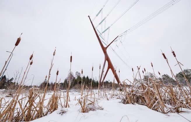 Estland, Erster estnische Designer-Hochspannungsmast Soorebane bei Risti 22.12.2022, Rouma The first Estonian designer highvoltage pylon Soorebane (Bog Fox), Estonia™s first designer highvoltage pylon, was ordered by Elering and completed in July 2020 near Risti small town in Lääne County. Soorebane, built near the region of the intersection of Ääsmäe-Haapsalu and Risti-Virtsu highways, is 45 metres high and weighs 38.5 tons. The designer pylon has been made of COR-TEN steel, which gives the pylon its characteristic rusty hue. The diameter of the trunk of the pylon is 1.66 metres at the thickest part and the maximum thickness of the wall is 22 millimetres. The authors are Part OÜ architects Sille Pihlak and Siim Tuksam Photo Mihkel Maripuu, Postimees Rouma Läänemaa Estonia 1MM26DEC22O04  Copyright: xMihkelxMaripuux Designer highvoltage pylon