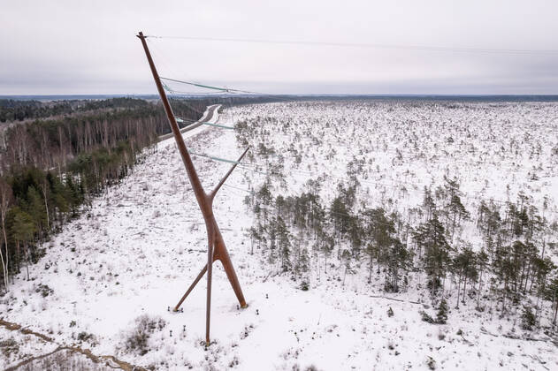Estland, Erster estnische Designer-Hochspannungsmast Soorebane bei Risti 22.12.2022, Rouma The first Estonian designer highvoltage pylon Soorebane (Bog Fox), Estonia™s first designer highvoltage pylon, was ordered by Elering and completed in July 2020 near Risti small town in Lääne County. Soorebane, built near the region of the intersection of Ääsmäe-Haapsalu and Risti-Virtsu highways, is 45 metres high and weighs 38.5 tons. The designer pylon has been made of COR-TEN steel, which gives the pylon its characteristic rusty hue. The diameter of the trunk of the pylon is 1.66 metres at the thickest part and the maximum thickness of the wall is 22 millimetres. The authors are Part OÜ architects Sille Pihlak and Siim Tuksam Photo Mihkel Maripuu, Postimees Rouma Läänemaa Estonia 1MM26DEC22O19  Copyright: xMihkelxMaripuux Designer highvoltage pylon