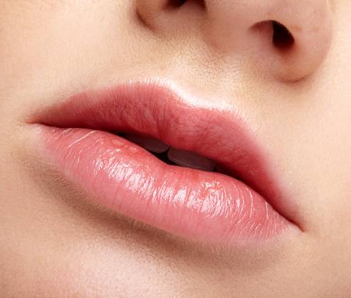 Closeup macro portrait of female part of face. Human woman lips with day beauty makeup. Girl with perfect chubby lips shape Closeup macro portrait of female part of face. Human woman lips with day beauty makeup. Girl with perfect chubby lips shape. Copyright: xZoonar.com SergxZastavkinx(SergeyxPristyazhnyuk)x 11223085 ,model released, Symbolfoto ,property released