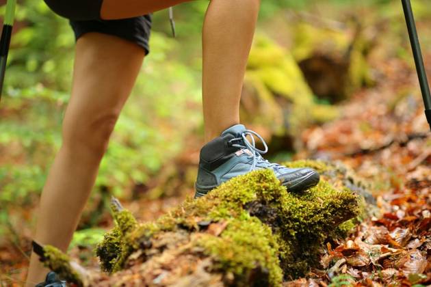  Hiker legs walking in a forest, Close up of a hiker legs walking in a forest, Close up of a hiker legs walking in a forest model released, Symbolfoto , 24.10.2022, Copyright: xPheelingsMediax Panthermedia32540736.jpg