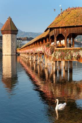 Wonderful morning view on Chapel Bridge and Water Tower in Luzern, Switzerland. Copyright: xSergiyxNykonenkox xDesignxPicsx , 32068658 Copyright: SergiyxNykonenkox xDesignxPics 32068658