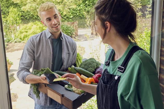 Woman paying and talking to delivery person with fresh vegetables near doorway model released, Symbolfoto property released, PWF00748