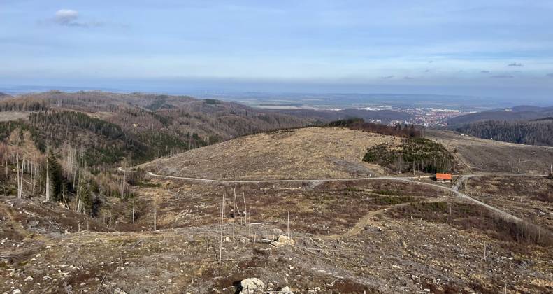 Baumsterben im Ostharz von Wernigeroder aus ueber Ottofelsen Richtung Brocken Baumsterben in Deutschland