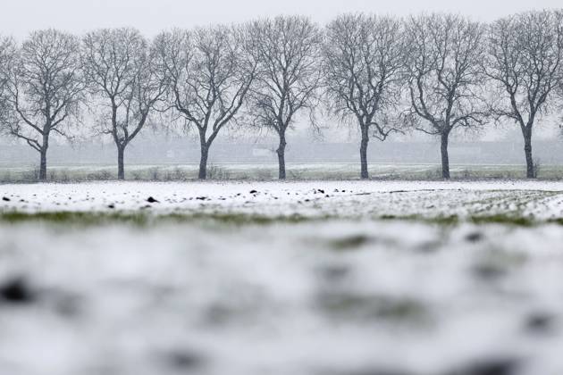 Schneefall um Köln führt zu Unfällen und Stau: Am Mittwoch erlebte das Rheinland einen Wintereinbruch mit Schnee und Glätte. Im Bild ein verschneites Feld mit einer Allee kahler Bäume. (Themenbild, Symbolbild) Köln, 08.03.2023 NRW Deutschland Copyright: xChristophxHardtx