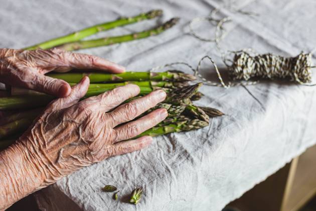 IMAGO Creative: Food, Spargel wrinkled hands of an old woman tying green asparagus Öhringen, Baden-Württemberg, Germany CR_DVHK230411-1169229-01