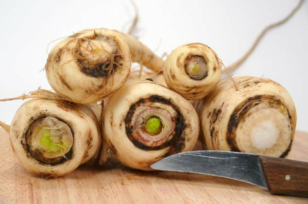  parsnips, , , 26.09.2008, Copyright: xTwilight_Art_Picturesx Panthermedia1506375.jpg