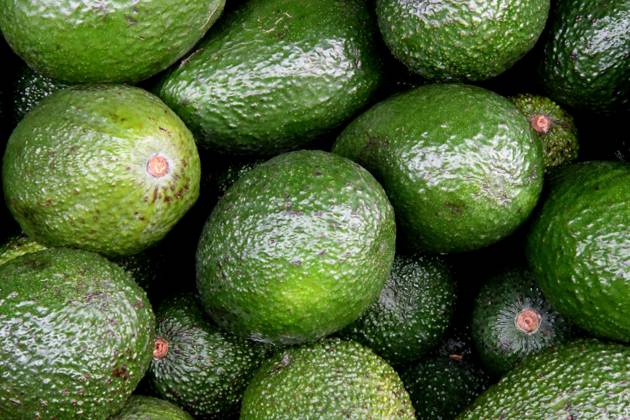 Copenhagen Denmark 05 May 2023 Avocado fruit from Spain is dispay for sale in danish grocery store in danish capital. (Photo.Francis Joseph Dean Dean Pictures)
