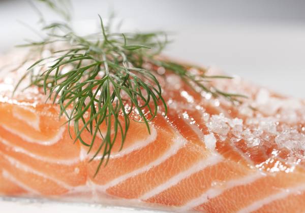 Sugar and salt cured salmon with a dill leaf Copyright: xJanxSandvikx xDesignxPicsx , 30914140 Copyright: JanxSandvikx xDesignxPics 30914140