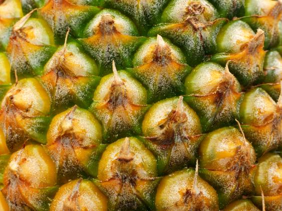 pineapple pine Copyright: xLeungxChoxPanx xDesignxPicsx , 31033484 Copyright: LeungxChoxPanx xDesignxPics 31033484