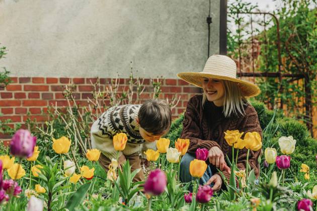 Mother and son spending leisure time amidst tulips in garden model released, Symbolfoto property released, VSNF00860