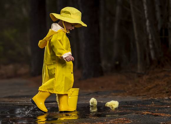 Child Enjoying The Rain In His Galoshes A small child plays in the rain while little chicks try to get a drink of water ,model released, Symbolfoto Copyright: xZoonar.com WalterxGxArcexSrxASPxIncx 13728445 ,model released, Symbolfoto ,property released
