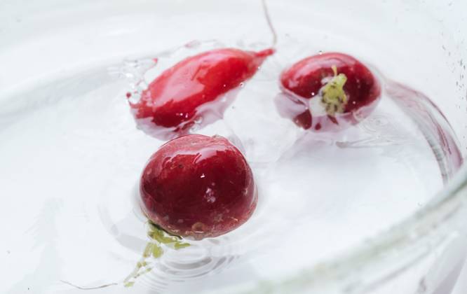 Fresh radish in water splash. Healthy food background. Spring or Summer background. Ethically sourced ingredients. Eco friendly production Fresh radish in water splash. Healthy food background. Spring or Summer background. Ethically sourced ingredients. Eco friendly production. High quality photo Copyright: xZoonar.com AlexandraxTroyanx 17539448
