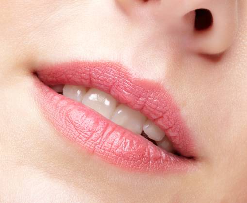 Closeup macro portrait of female part of face. Human woman lips with day beauty makeup Human mouth and nose. Closeup macro portrait of female part of face. Woman lips with day beauty makeup. ,model released, Symbolfoto Copyright: xZoonar.com SergxZastavkinx(SergeyxPristyazhnyuk)x 20467991 ,model released, Symbolfoto ,property released