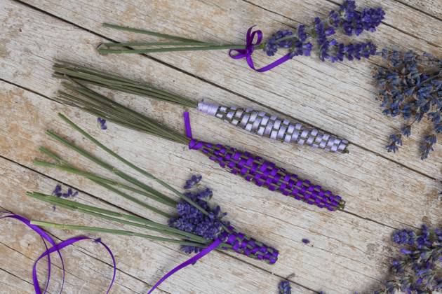Lavendel, Schmalblaettriger Lavendel, Echter Lavendel (Lavandula angustifolia, Lavandula officinalis), Lavendelstaebe, frischer Lavendel mit Satinband umweben als Duftstaebe fuer den Waescheschrank English lavender (Lavandula angustifolia, Lavandula officinalis), lavender sticks, fresh lavender wrapped with satin ribbon for linen cupboard BLWS688375