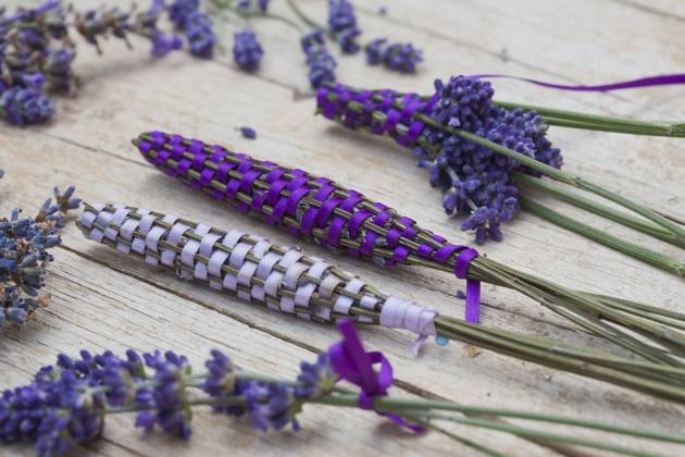 Lavendel, Schmalblaettriger Lavendel, Echter Lavendel (Lavandula angustifolia, Lavandula officinalis), Lavendelstaebe, frischer Lavendel mit Satinband umweben als Duftstaebe fuer den Waescheschrank English lavender (Lavandula angustifolia, Lavandula officinalis), lavender sticks, fresh lavender wrapped with satin ribbon for linen cupboard BLWS688376