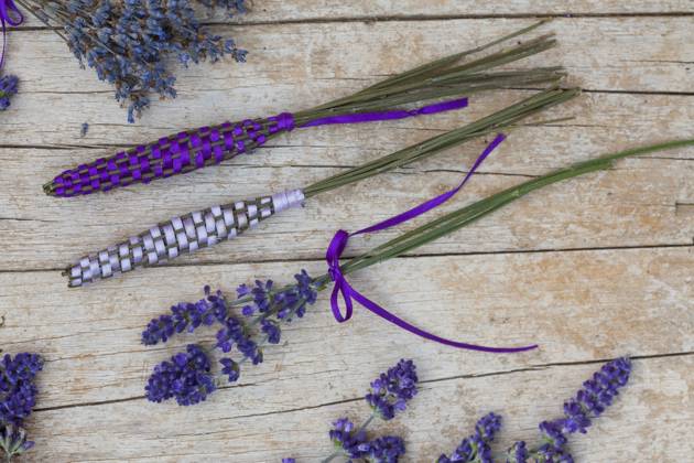 Lavendel, Schmalblaettriger Lavendel, Echter Lavendel (Lavandula angustifolia, Lavandula officinalis), Lavendelstaebe, frischer Lavendel mit Satinband umweben als Duftstaebe fuer den Waescheschrank English lavender (Lavandula angustifolia, Lavandula officinalis), lavender sticks, fresh lavender wrapped with satin ribbon for linen cupboard BLWS688372