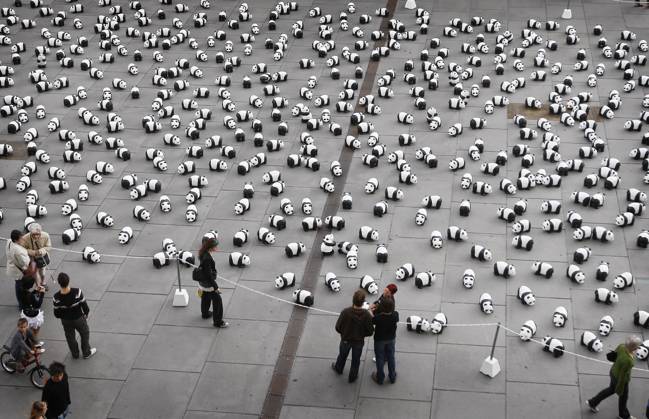 1,600 Pandas In Town - Bordeaux 1,600 papier mache pandas have been installed by members of the World Wildlife Fund (WWF) in the center of Bordeaux, southwestern France on September 7, 2008, to increase public awareness of the endangered species. According to recent investigations, there are currently only 1,600 giant pandas alive all over the world, about 1,000 of them in China. The exhibition called 1,600 Pandas In Town will also travel aound the world. The panda has been the WWF s symbol since it was formed in 1961. Photo by Patrick Bernard ABACAPRESS.COM Bordeaux France Copyright: xBernardxPatrick ABACAx 163024_15 BernardxPatrick ABACAx 163024_15