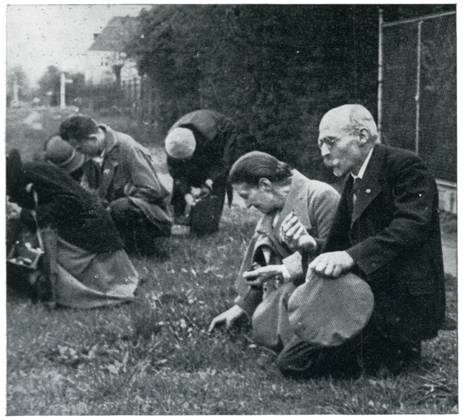 Wandervogel Movement - vegetarian hikers forage for food Looking for herbs on a hike. The treasurer of a group of vegetarian hikers forages for herbs with his wife during a ramble. Date: 1932  Copyright: Copyrightx(c)Geminix2023.xCredit:xGemini 12548479