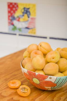 Bowl of apricots in handmade pottery bowl, to be prepped for dehydrating. Select fresh and fully ripened fruits. Immature produce lacks flavor and color. (PR)  Copyright: xJanetxHortonx x LI11 JHO0042