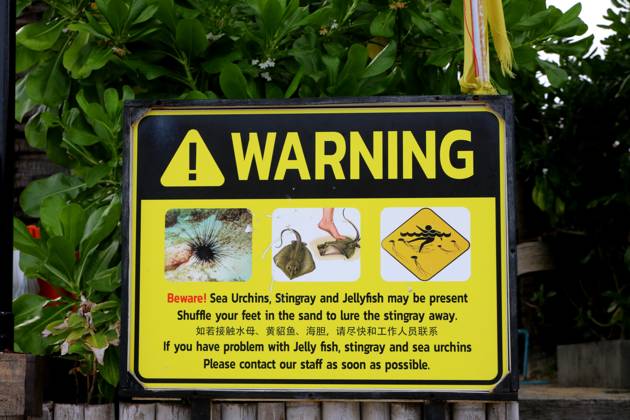 Thailand. Phuket. Thailand. Phuket. Cape Panwa, Ao Yong Long beach area. The situation in Thailand. Warm Sea, Halong Bay, Andaman Sea, Indian Ocean. Warning that there may be: jellyfish, hedgehogs, stingrays in the sea. Yellow flag MaksimxKonstantinov