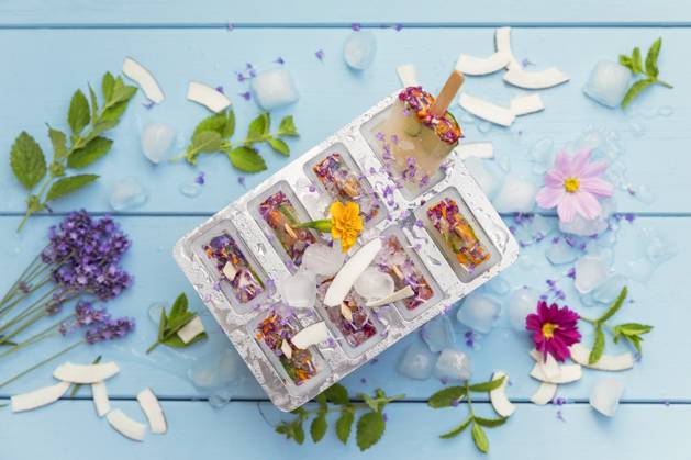 Homemade lemonade ice pops with herbs, edible flowers and coconut flakes, GWF07842